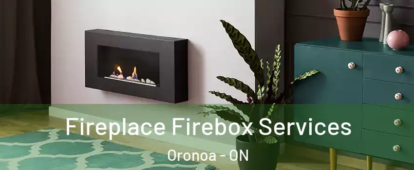  Fireplace Firebox Services Oronoa - ON