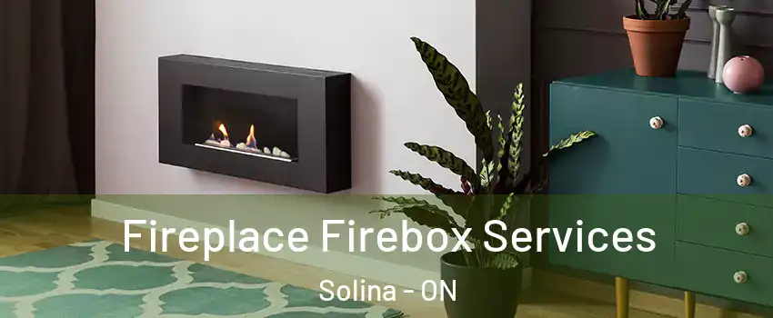  Fireplace Firebox Services Solina - ON