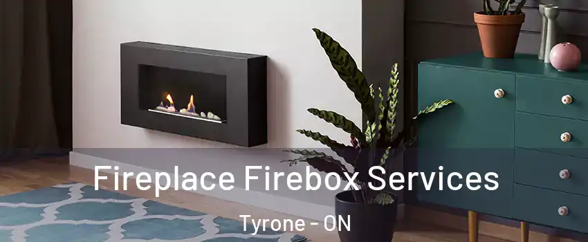  Fireplace Firebox Services Tyrone - ON