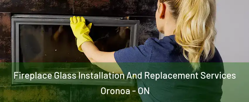  Fireplace Glass Installation And Replacement Services Oronoa - ON