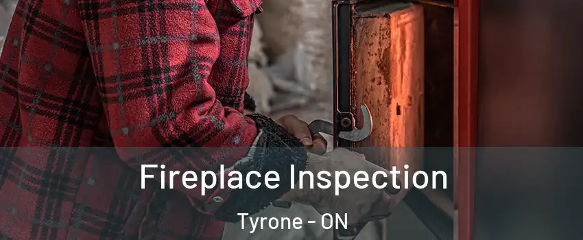  Fireplace Inspection Tyrone - ON