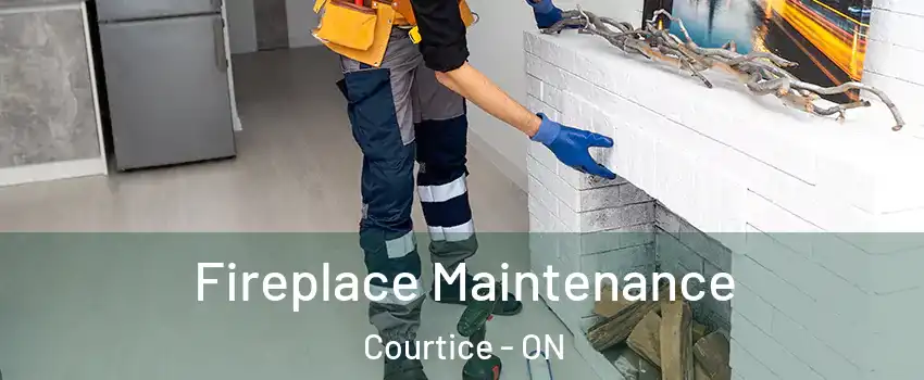  Fireplace Maintenance Courtice - ON