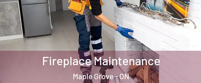  Fireplace Maintenance Maple Grove - ON