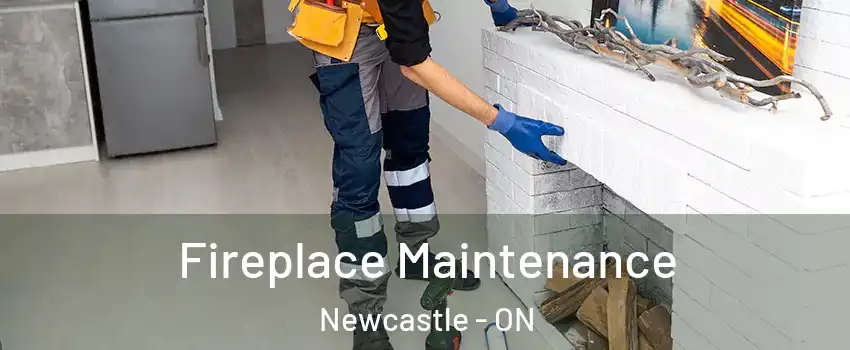  Fireplace Maintenance Newcastle - ON