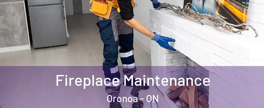  Fireplace Maintenance Oronoa - ON