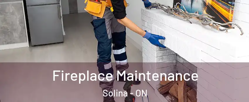  Fireplace Maintenance Solina - ON