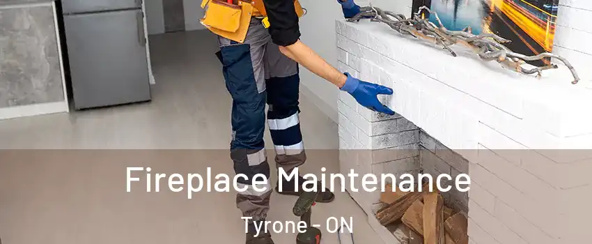  Fireplace Maintenance Tyrone - ON