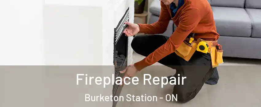  Fireplace Repair Burketon Station - ON