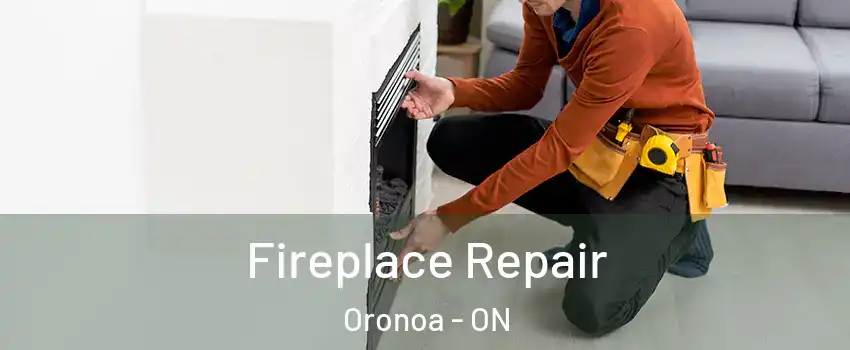  Fireplace Repair Oronoa - ON