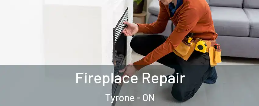 Fireplace Repair Tyrone - ON