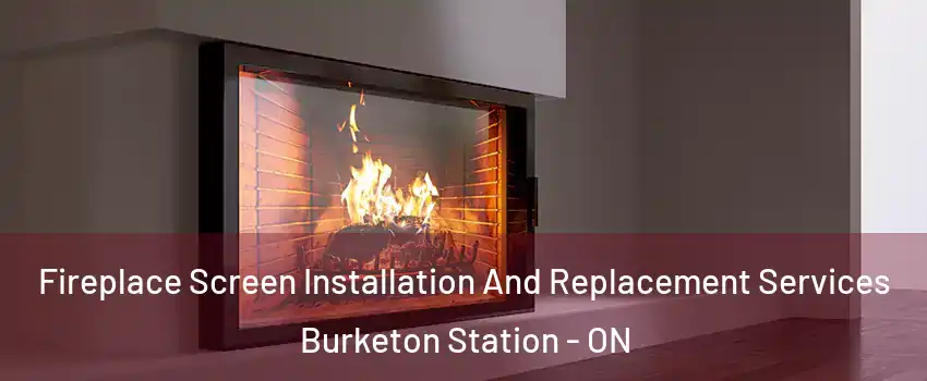 Fireplace Screen Installation And Replacement Services Burketon Station - ON