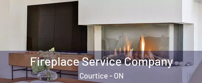  Fireplace Service Company Courtice - ON