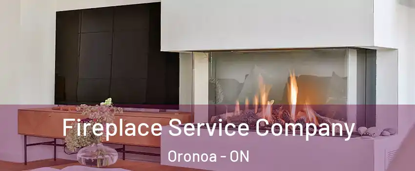  Fireplace Service Company Oronoa - ON