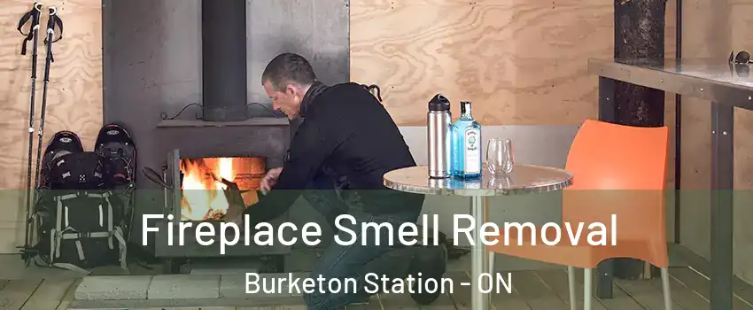  Fireplace Smell Removal Burketon Station - ON
