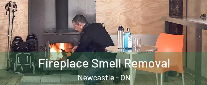  Fireplace Smell Removal Newcastle - ON