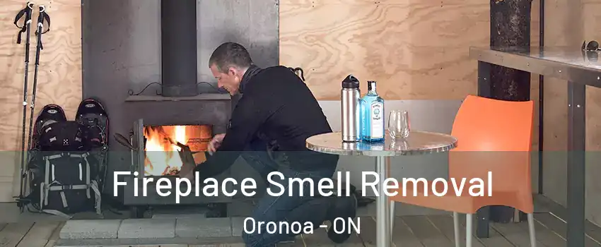  Fireplace Smell Removal Oronoa - ON