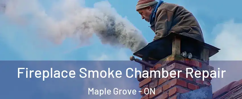  Fireplace Smoke Chamber Repair Maple Grove - ON