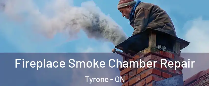  Fireplace Smoke Chamber Repair Tyrone - ON