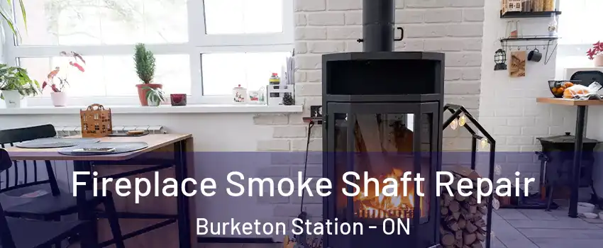  Fireplace Smoke Shaft Repair Burketon Station - ON