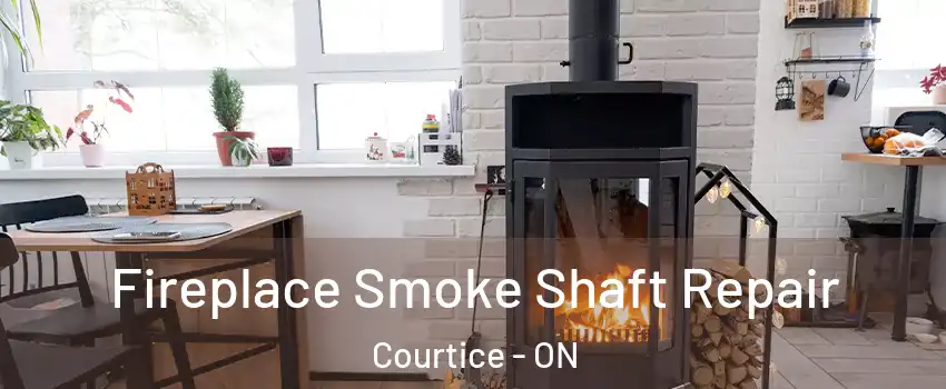  Fireplace Smoke Shaft Repair Courtice - ON