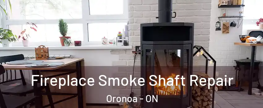  Fireplace Smoke Shaft Repair Oronoa - ON