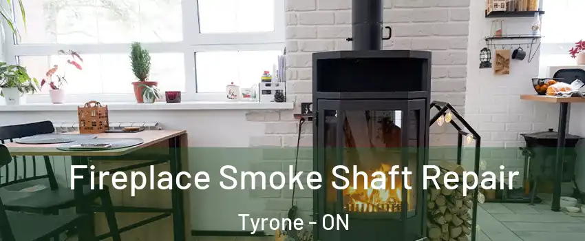  Fireplace Smoke Shaft Repair Tyrone - ON