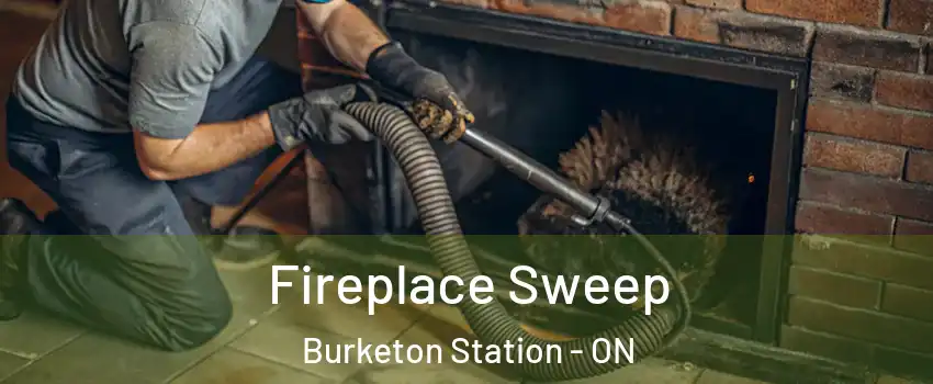  Fireplace Sweep Burketon Station - ON