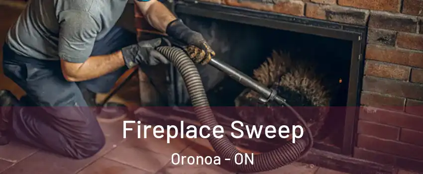  Fireplace Sweep Oronoa - ON