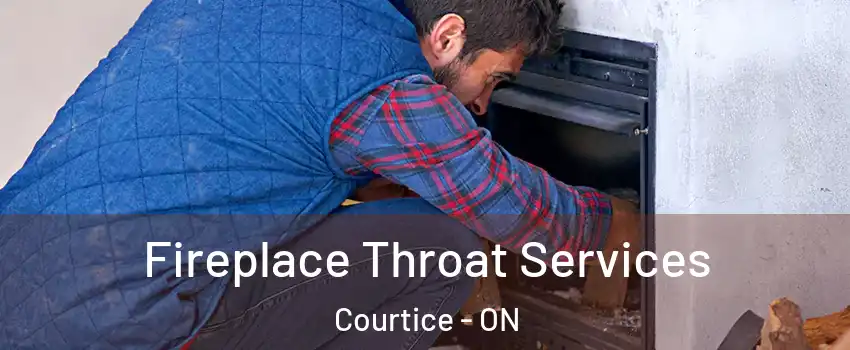  Fireplace Throat Services Courtice - ON