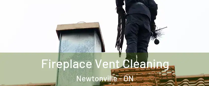  Fireplace Vent Cleaning Newtonville - ON