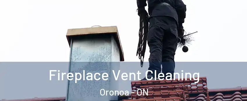 Fireplace Vent Cleaning Oronoa - ON