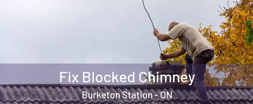  Fix Blocked Chimney Burketon Station - ON