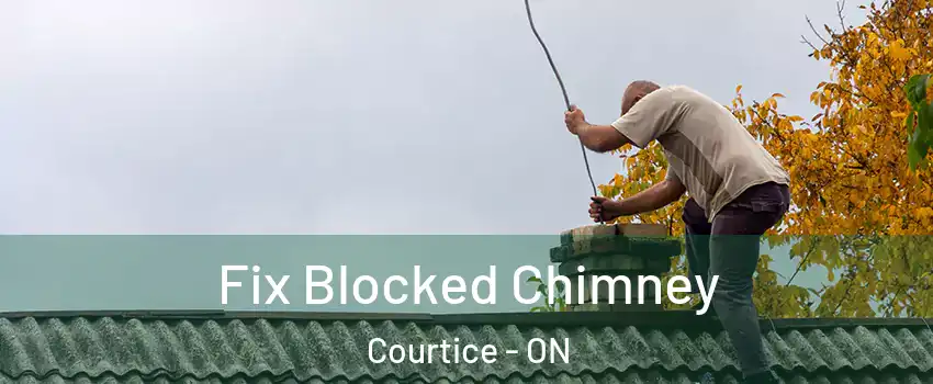  Fix Blocked Chimney Courtice - ON