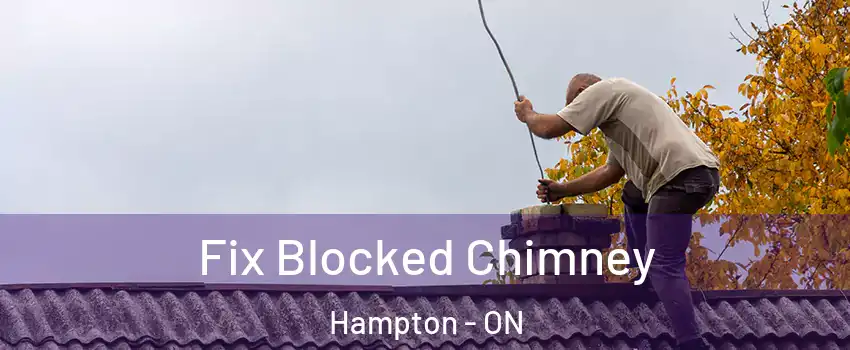  Fix Blocked Chimney Hampton - ON