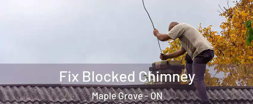  Fix Blocked Chimney Maple Grove - ON