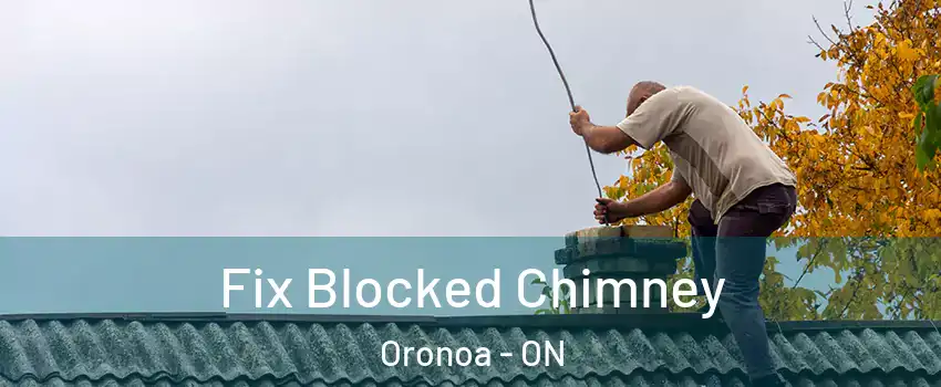  Fix Blocked Chimney Oronoa - ON