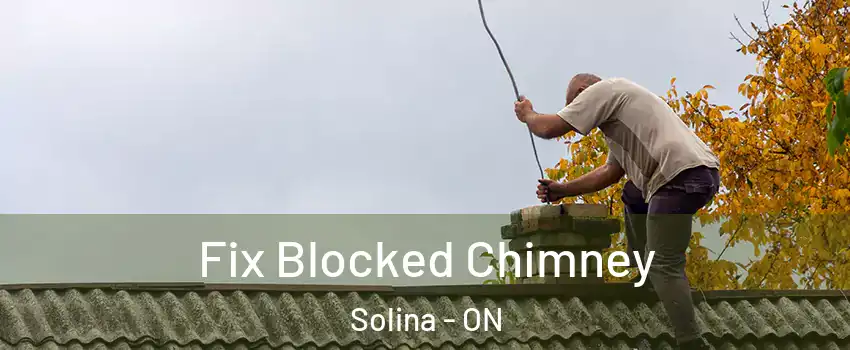 Fix Blocked Chimney Solina - ON
