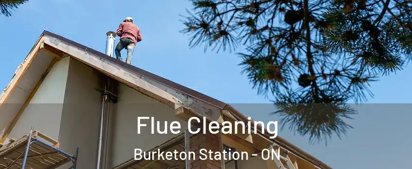  Flue Cleaning Burketon Station - ON