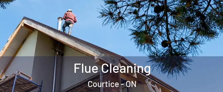 Flue Cleaning Courtice - ON
