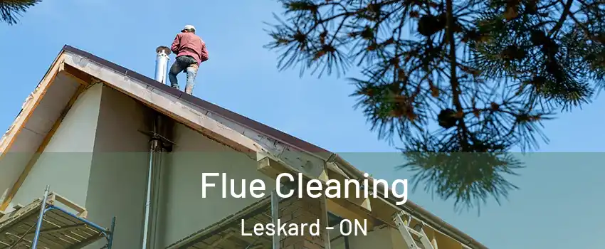 Flue Cleaning Leskard - ON