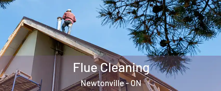  Flue Cleaning Newtonville - ON