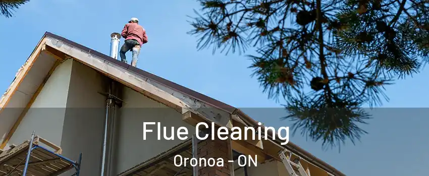  Flue Cleaning Oronoa - ON