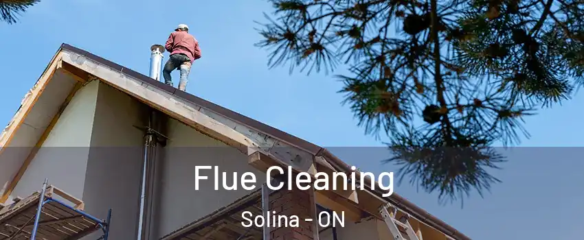  Flue Cleaning Solina - ON