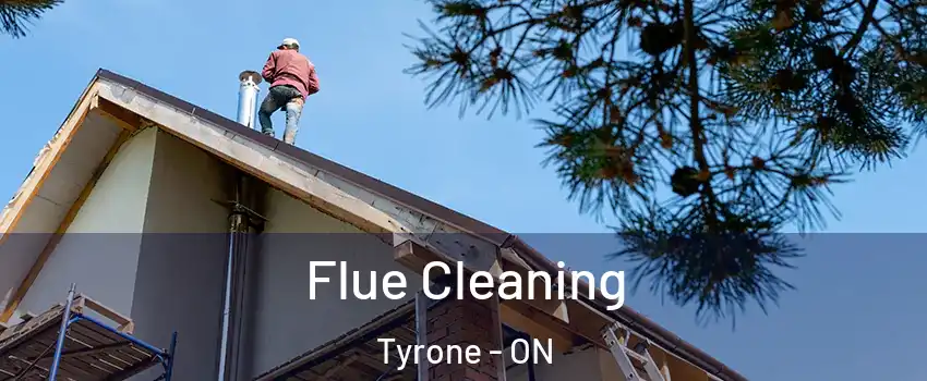  Flue Cleaning Tyrone - ON
