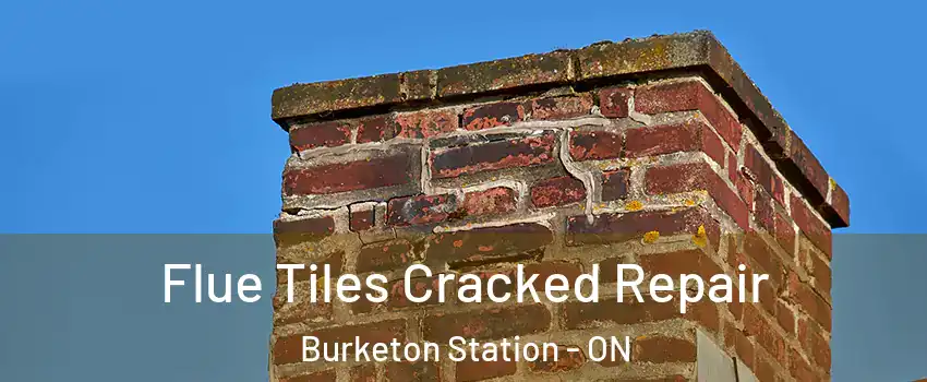  Flue Tiles Cracked Repair Burketon Station - ON