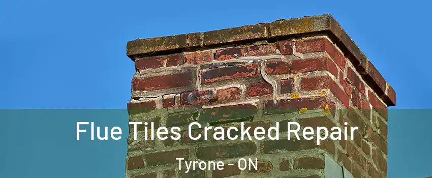  Flue Tiles Cracked Repair Tyrone - ON