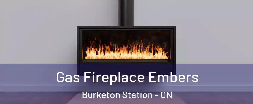  Gas Fireplace Embers Burketon Station - ON