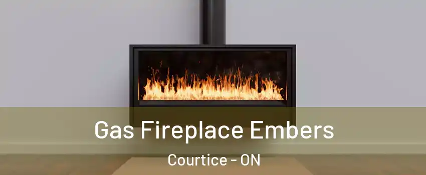  Gas Fireplace Embers Courtice - ON