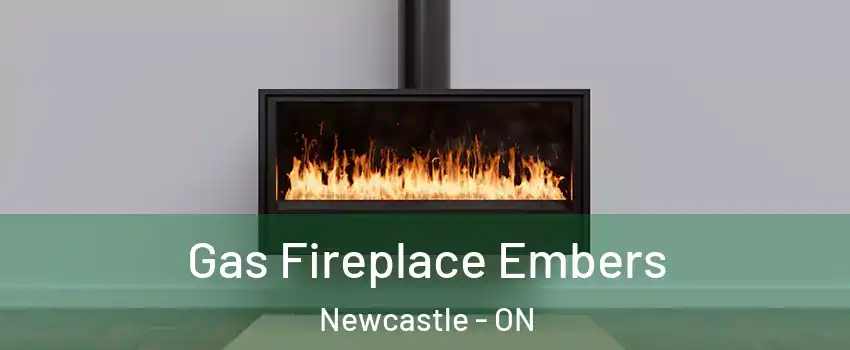  Gas Fireplace Embers Newcastle - ON