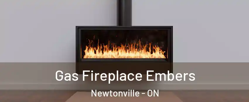  Gas Fireplace Embers Newtonville - ON